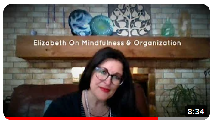 Mindfulness for Organization Elizabeth Sabet